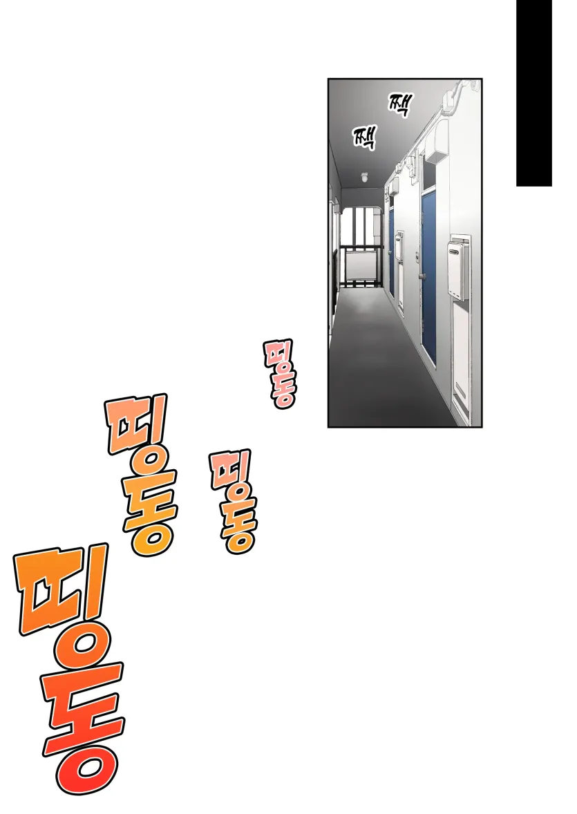 17477628138534.webp